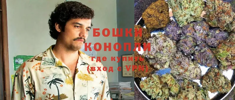 где купить наркоту  Вятские Поляны  omg рабочий сайт  Бошки Шишки SATIVA & INDICA 